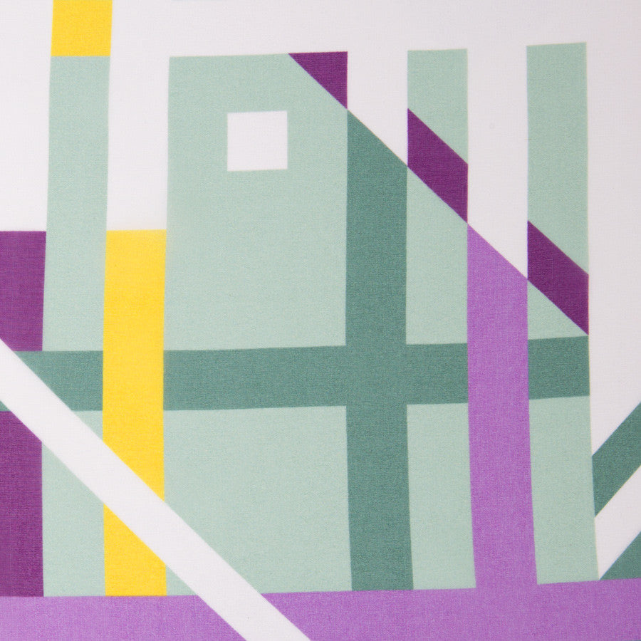 Wolf | Spring | Close-up